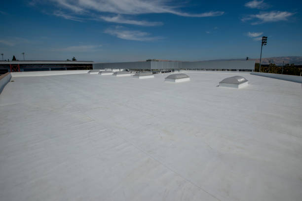 Best Roof Maintenance and Cleaning  in Florence, CO