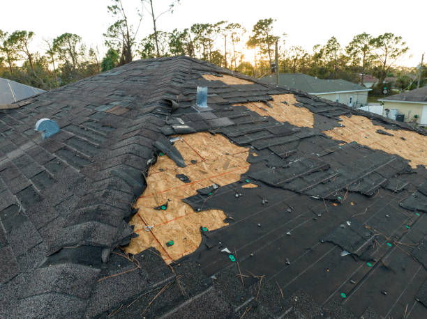 Best Roof Insulation Installation  in Florence, CO